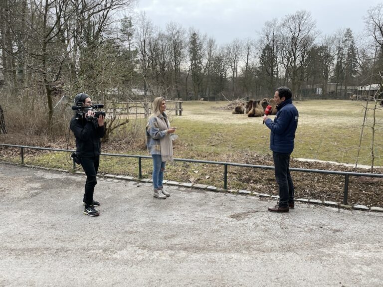 Allein_im_Tierpark